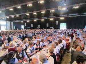 2016-06-11-fete-des-costumes-lugano-img_2604